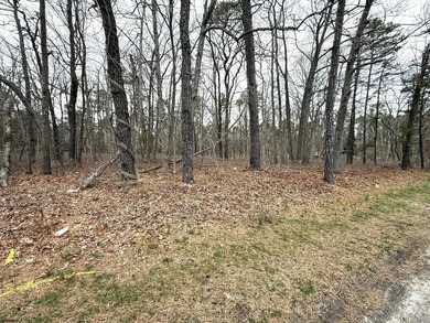 VACANT COMMERICAL LAND, just under 5 Acres of Prime Commercial - photo 5