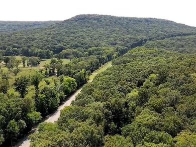 Seller says *BARNDOMINIUMS AND S WELCOME!!* Terrapin Creek View - photo 6