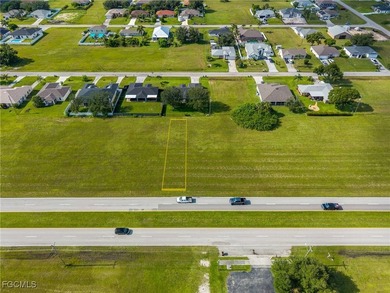 Prime Commercial Property in Cape Coral! Endless Development - photo 3