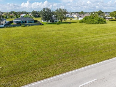 Prime Commercial Property in Cape Coral! Endless Development - photo 5