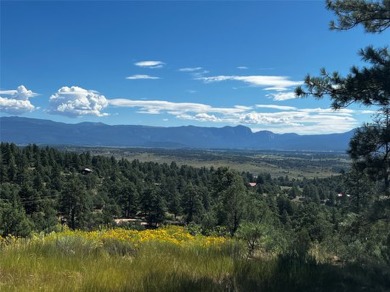 Heron Lake Acreage For Sale in Los Ojos New Mexico