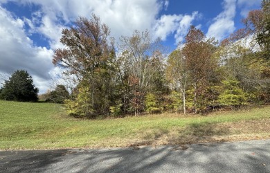 Lake Lot For Sale in Decatur, Tennessee