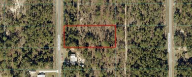 Lake Lot Sale Pending in Dunnellon, Florida
