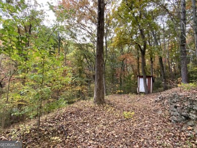 (private lake, pond, creek) Lot For Sale in Sautee Nacoochee Georgia