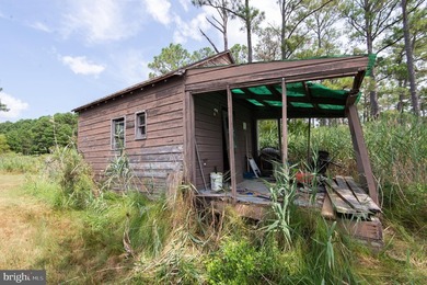 Picture this: waking up each morning on your own 10-acre - photo 37
