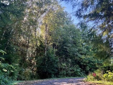 Nehalem River Lot For Sale in Wheeler Oregon