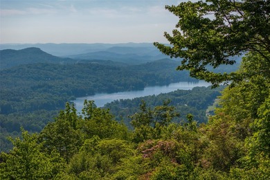 Lake Toxaway Acreage For Sale in Lake Toxaway North Carolina