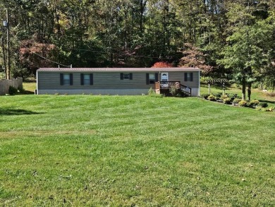 Lake Home For Sale in Pulaski, Virginia