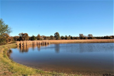 Lake Lot For Sale in Yantis, Texas