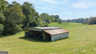 Welcome to your own private retreat on over 11 beautiful acres! - photo 4
