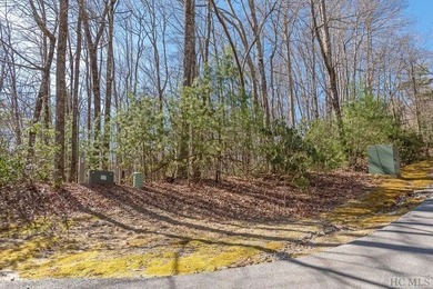 Proposed new construction on a private, wooded 0.94-acre - photo 4