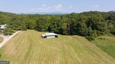 Welcome to your own private retreat on over 11 beautiful acres! - photo 5