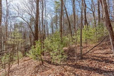Proposed new construction on a private, wooded 0.94-acre - photo 6