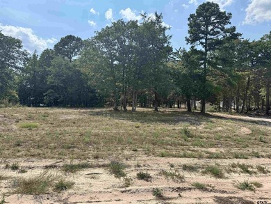 (private lake, pond, coastal) Commercial For Sale in Scroggins Texas