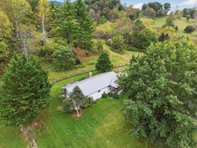 Lake Home For Sale in Glade Spring, Virginia