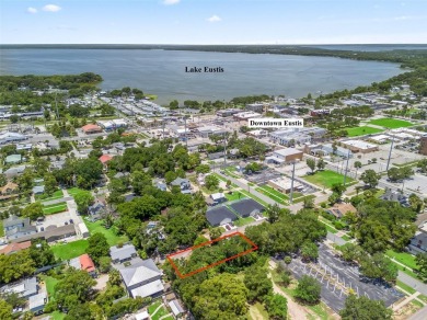 Lake Lot For Sale in Eustis, Florida