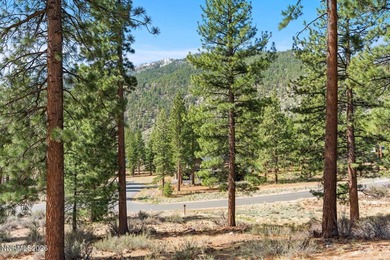 Fantastic building opportunity with this massive 1.31-acre sunny - photo 10
