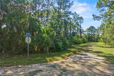Lehigh Acres Area Lot For Sale in Lehigh Acres Florida