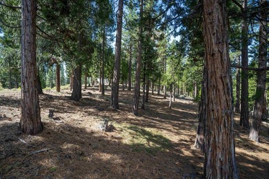 Beautiful .61-acre parcel set within the stunning community of - photo 11