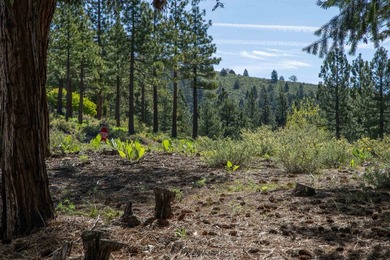 Beautiful .61-acre parcel set within the stunning community of - photo 17