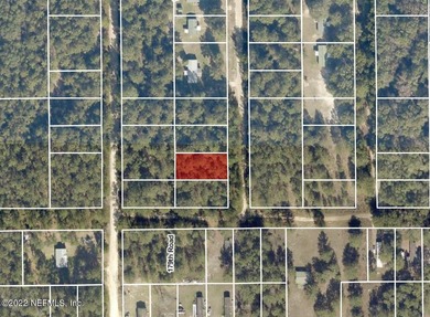 Suwannee River Lot For Sale in Live Oak Florida