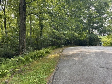 Build your dream home on two adjacent lots over looking the - photo 2