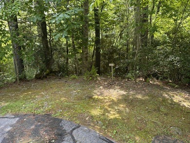 Build your dream home on two adjacent lots over looking the - photo 5