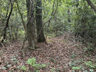 Build your dream home on two adjacent lots over looking the - photo 6