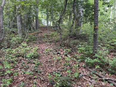 Build your dream home on two adjacent lots over looking the - photo 7