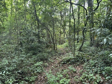 Build your dream home on two adjacent lots over looking the - photo 8