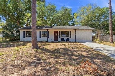 Charming Auburndale Gem - NO HOA & blocks from Lake Ariana! - photo 29