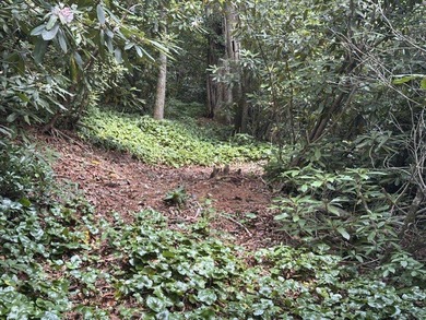 Build your dream home on two adjacent lots over looking the - photo 10