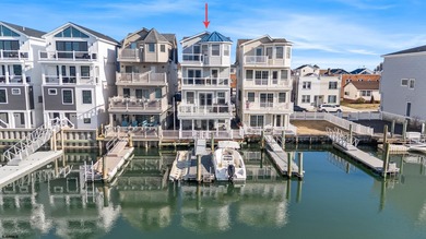 Waterfront Living with Dock, Elevator & Iconic Skyline Views -