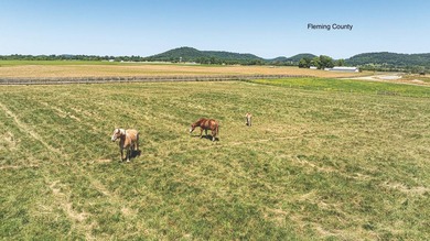 - QUALITY MAINTENANCE AND STEWARDSHIP - EXCELLENT SOILS - - photo 3