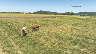 - QUALITY MAINTENANCE AND STEWARDSHIP - EXCELLENT SOILS - - photo 4