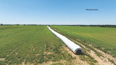 - QUALITY MAINTENANCE AND STEWARDSHIP - EXCELLENT SOILS - - photo 7
