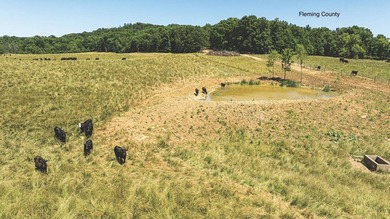 - QUALITY MAINTENANCE AND STEWARDSHIP - EXCELLENT SOILS - - photo 9