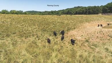 - QUALITY MAINTENANCE AND STEWARDSHIP - EXCELLENT SOILS - - photo 10
