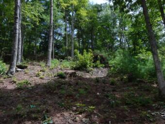 Lake Lot SOLD! in Butler, Tennessee