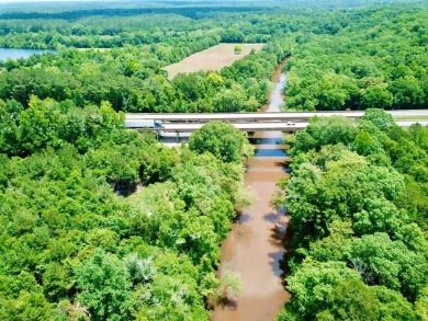 Lake Lot For Sale in Newton, Alabama