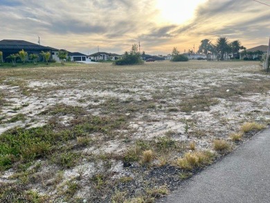 This cleared lot is located amongst large, newer homes - photo 2