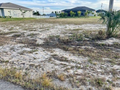 This cleared lot is located amongst large, newer homes - photo 5