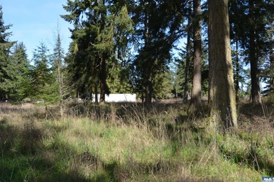 Discover the perfect opportunity to build your dream home in - photo 11
