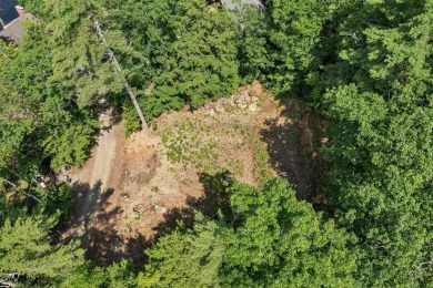 Build Your Lakeside Retreat.  Here is a rare opportunity to own - photo 12