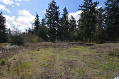 Discover the perfect opportunity to build your dream home in - photo 12