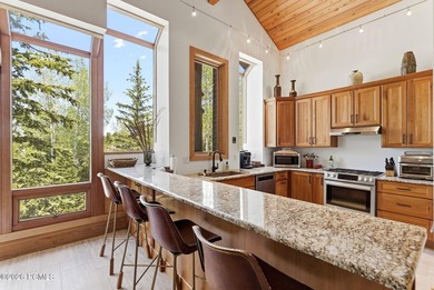 Ideally positioned in Silver Lake, with ski to, ski from access - photo 12
