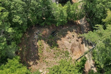 Build Your Lakeside Retreat.  Here is a rare opportunity to own - photo 13