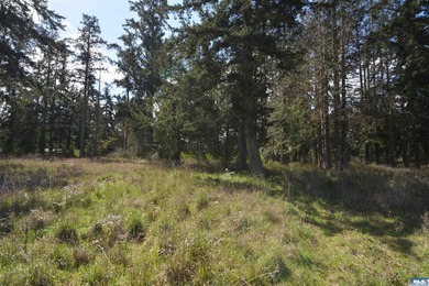 Discover the perfect opportunity to build your dream home in - photo 18