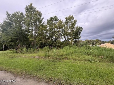 Lake Lot For Sale in Salt Springs, Florida