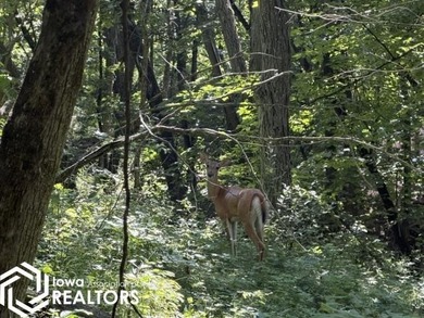 Escape to your own private campground retreat! This unique - photo 21